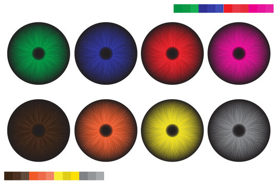 Set of colorful eyeball