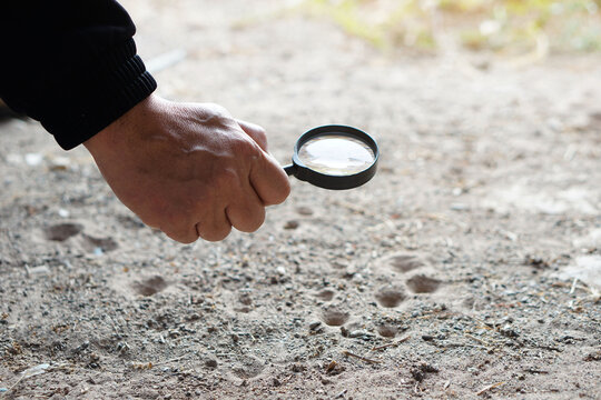 Closeup hand holds magnifying glass to explore tiny insects in holes on ground. Concept, examine, explore, research nature or biological organisms. Study about insects behavior. Science tool.