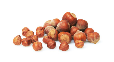 Hazelnut on a white background