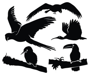 Silhouettes of birds flying and perching on tree branches