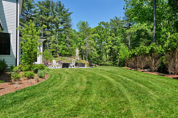 Suburban back yard with patio and treesSpring cleanup is complete and the grass mowed in a wooded...