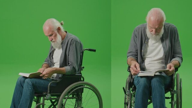 2-in-1 Split Green Screen Montage. Portrait of a Smart Old Man in a Wheelchair ,With Gray Beard, Reading a Book. An Elderly Man Flips Through the Pages of a Book. Leisure, Hobby Concept.