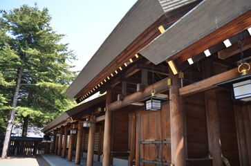 北海道神宮の境内の景色