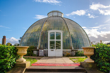 Fototapeta na wymiar greenhouse in the garden