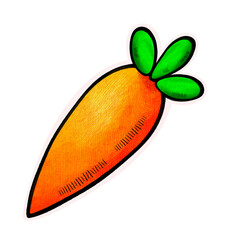 carrot on white background