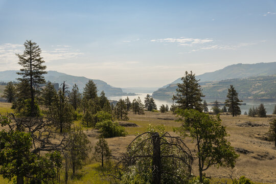 The beautiful landscape of the majestic Columbia River Gorge from Catherine Creek, Washington
