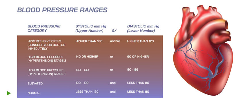 Hypertension stage one two three elvevated and normal blood pressure ranges. healthy and unhealthy blood pressure range note. Recommended BP range. HBP tests.