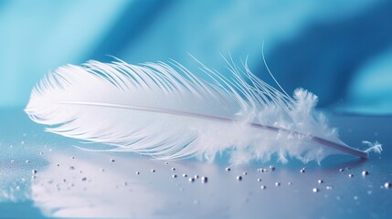 A bright blue background with one white feather.