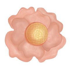 flower and animals in garden 