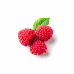 Three Raspberries On White Background Illustration