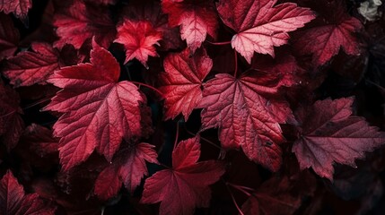 wine red autumn leaves texture, fall nature background, Generate Ai.