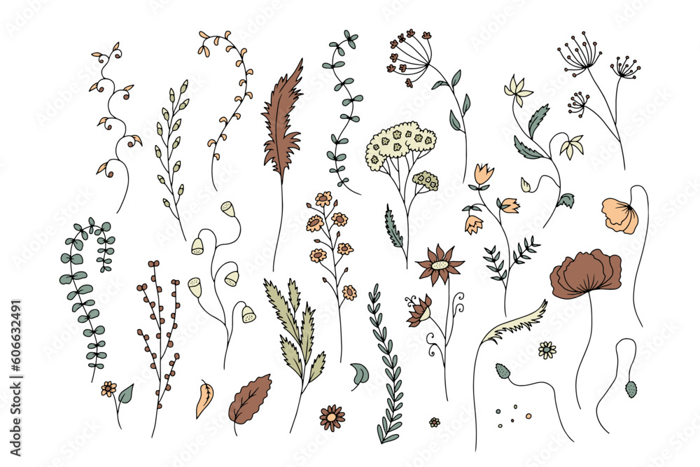 Wall mural Hand drawn wild flowers illustrations set isolated on white background. Minimalist floral doodles, muted earthy colors. - Wall murals