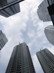 skyscrapers in the city