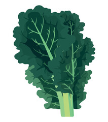 Organic kale salad design