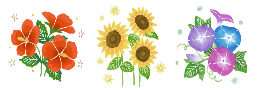 夏の花セット：ハイビスカス、ひまわり、朝顔