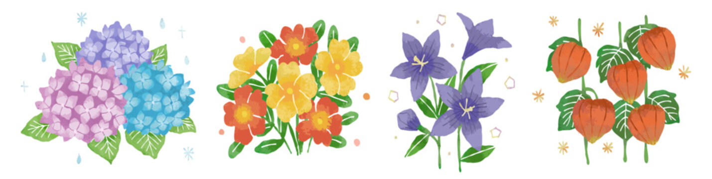 夏の花セット：あじさい、ポーチュラカ、桔梗、ほおずき