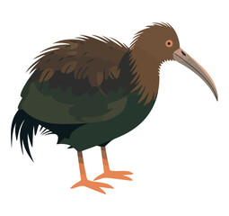 Cute bird with multi colored feathers