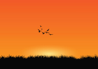 Silhouette of grass and birds at sunset background. Vector illustration
