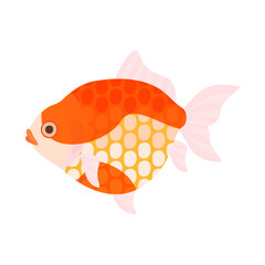 金魚（ピンポンパール）。フラットなベクターイラスト。
Ping pong pearlscale goldfish. Flat designed vector illustration.