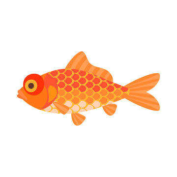 recommend clip art: 金魚（柳デメキン）。フラットなベクターイラスト。
                    Yanagi demekin goldfish. Flat designed vector illustration.