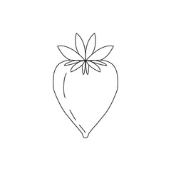 hand-drawn graphic images of fruit icons