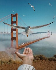 san francisco golden gate bridge © Maria Ponomaryova