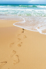 Fototapeta na wymiar human footprints on the sea sand