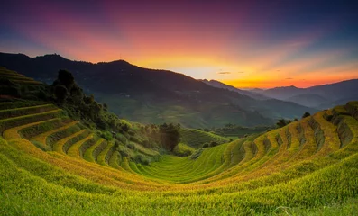 Fotobehang Rijstvelden terraces rice fields in vietnam