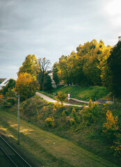 autumn in the park