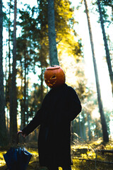 person in the park