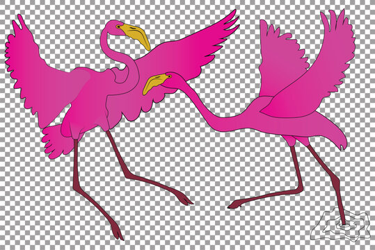 Pink Flamingo vector
