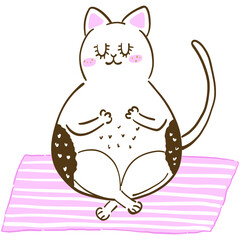 Cute cat sitting on yoga mat with eye close