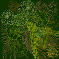 flowers leaves fern leaves inflorescence green background stripes illustration 