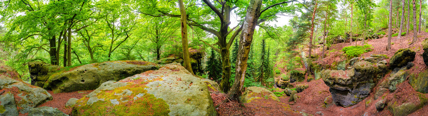 Panoramic over magical enchanted fairytale forest, sandstone rocks named Kleinhennersdorfer Stein at the hiking trail in the national park Saxon Switzerland, Bad Schandau, Germany.