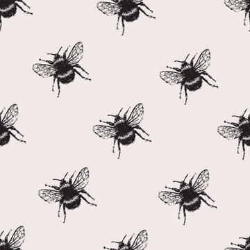 Bee. Hand drawn vector images of a seamless pattern on a gray background.