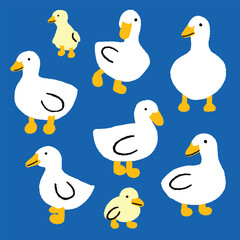 Seamless hand drawn pattern background of cute white duck ducklings. Isolated vector of ducks cartoon illustration on blue background.