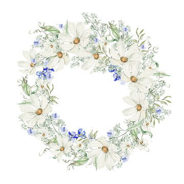Watercolor wreath with forget me not flowers and chamomile, green leaves.