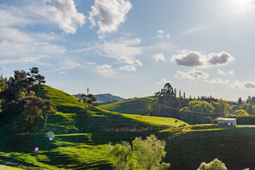 Grüne Hügel, Waitomo, Neuseeland