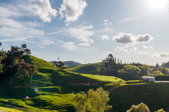 Gr&uuml;ne H&uuml;gel, Waitomo, Neuseeland