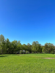 Obraz na płótnie Canvas beautiful park scene with Green meadow against the backdrop of a deciduous forest and a clear blue sky on a sunny day. High quality photo. 23 may 2023, Russia