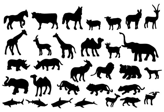 black animals silhouettes collection, isolated, big set