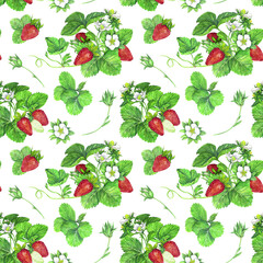 Seamless pattern of bushes of ripe juicy red strawberries with green leaves and flowers. Watercolor illustration isolated on transparent background. The designed for printing on textiles, packaging