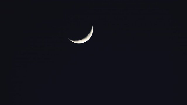Lunar moon calendar for sowing and harvesting concept
