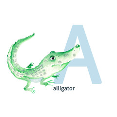 Letter A, alligator, cute kids colorful animals ABC alphabet. Watercolor illustration isolated on white background.