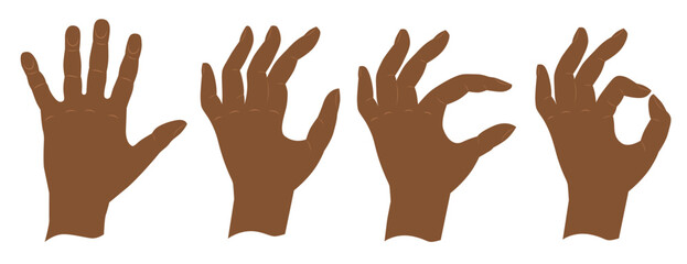 Hands show the sign everything is fine. Latino hands. Vector illustration.