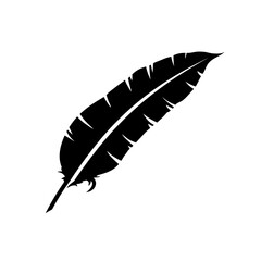 feather  - vector icon, silhouette