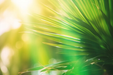 Obraz premium Nature of green leaf in garden at summer. Natural green leaves plants using as spring background cover page