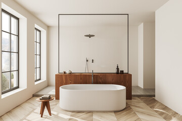 Cozy bathroom interior with bathtub and douche near panoramic window