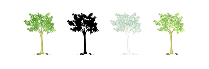 Set of Hand Drawn Trees