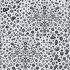 Seamless abstract pattern in the form of the skin of a wild cat. Geometric black and white pattern of leopard, cheetah skin. Design for textile, cover and magazine.